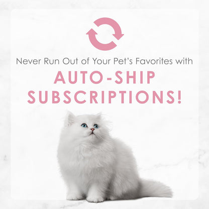 Purina Fancy Feast Tender Ocean Whitefish, Turkey, Chicken and Salmon Feasts Wet Kitten Food Variety Pack - (Pack of 24) 3 oz. Boxes