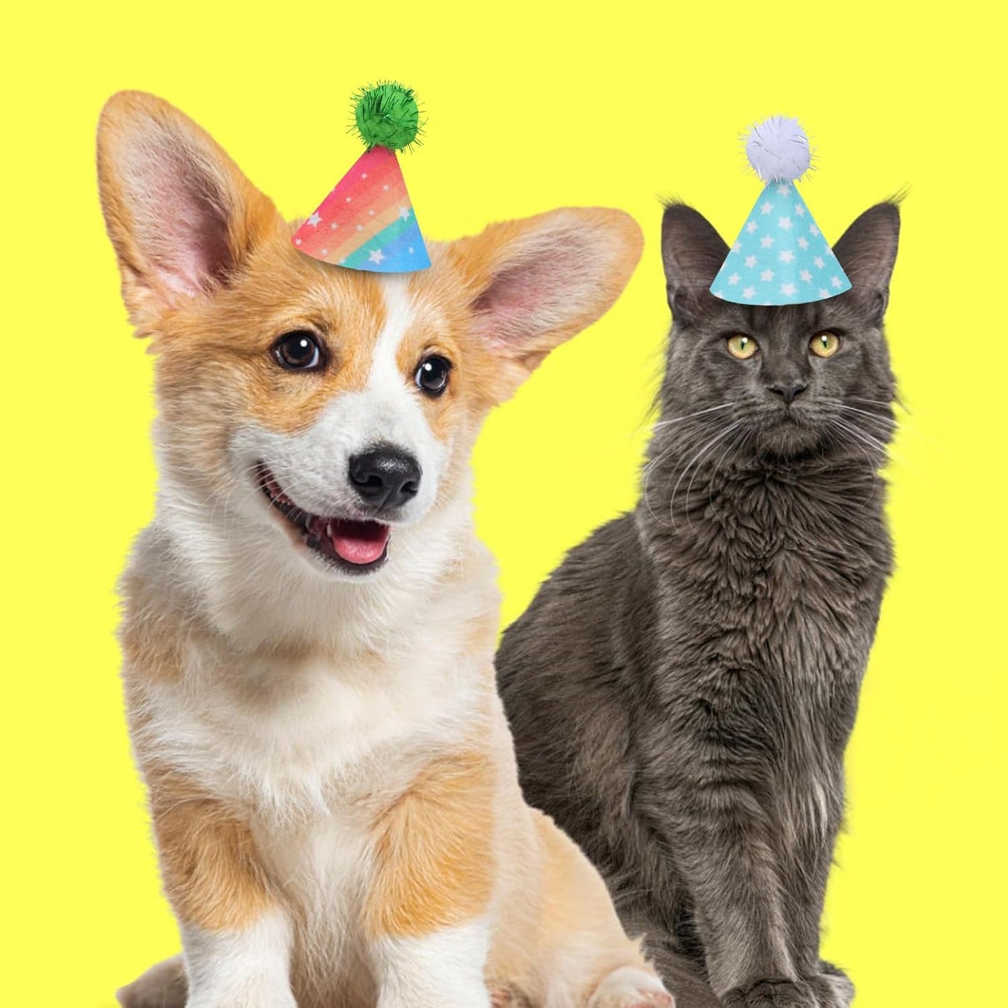 Yolev 10Pcs Mini Party Hats Colorful Mini Birthday Hats Small Dog Hat with Adjustable Strap and Glitter Pom Poms Hat for Dogs Cats Pet Animals Party Grooming Costume Birthday Cake Accessories