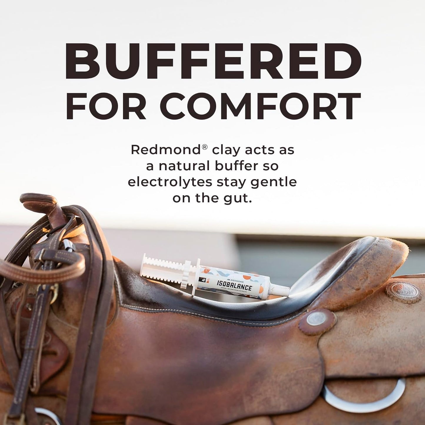 Redmond IsoBalance Horse Electrolyte Paste, Equine Performance and Mineral Rich Hydration Formula