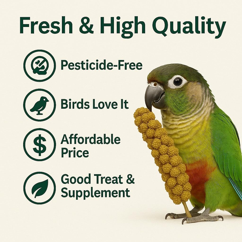 Nemeth Farms Premium Non-GMO Spray Millet Treat | Hand-Harvested Bird Snack | 100% Edible Tops | Sun-Dried Supplement for Parakeets, Cockatiels, Finches, Lovebirds, Canaries