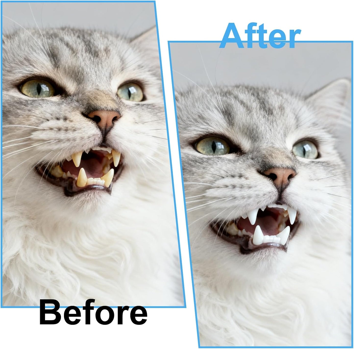 4pcs 360-Degree Pet Toothbrush for Dogs, Cats, and Puppies - Soft Bristle Small Dog Toothbrush in Purple, Pink, Blue, Green