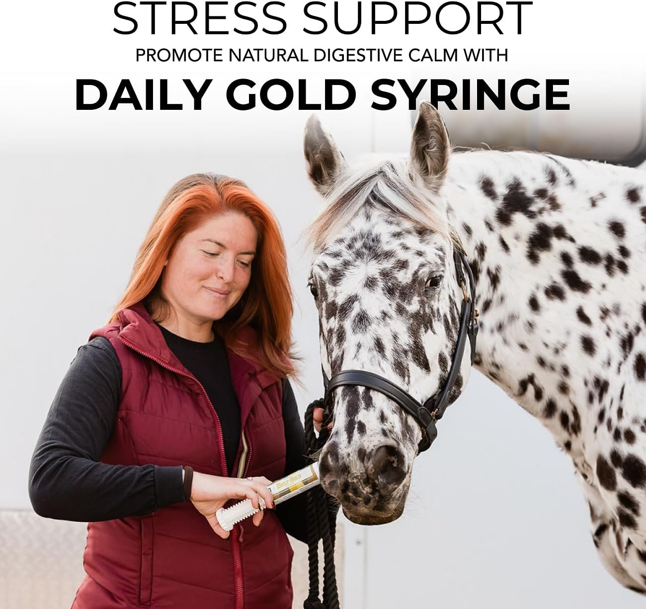 REDMOND Daily Gold Syringe Natural Healing Clay for Gastric Ulcers in Horses (Stress Relief Pre-Race Paste) (Single Pack)