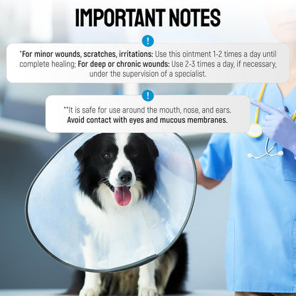 Hot Spot Treatment For Dogs & Cats to Help with Scratches, Cuts, Bites – Set of Honey Wound Repair Ointment in Gel Form + 2 Bandages – Horse & Dog Wound Care with Silver & Honey – All Pets Care – 2 Oz