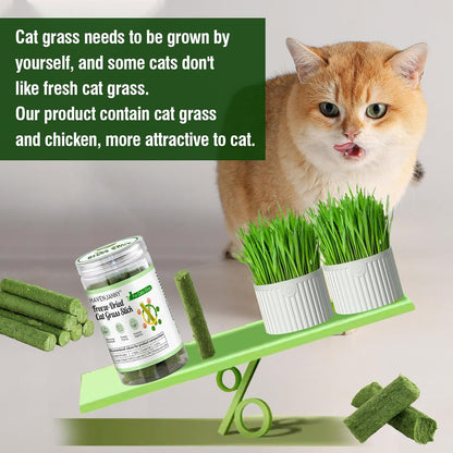 HavenJanny 50g/1.76oz Cat Grass Teething Stick, Cat Grass Stick Canned for Indoor Cats, Cats Treats Hairball Relief and Teeth Cleaning
