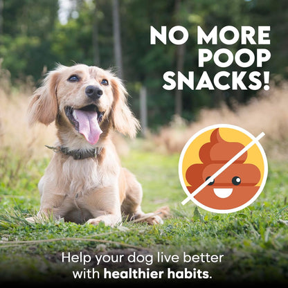 No Poo Chews for Dogs - Coprophagia Eating Deterrent for Dogs - Stop Eating Poop - Packed with Probiotics, Digestive Enzymes & Pumpkin Powder - for All Ages and Breeds