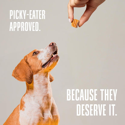 Whole Life Dog Just One Salmon Freeze Dried Dog Treats - Human Grade High Protein Food, Healthy Training Snacks, Freeze Dried Salmon Food Toppers, USA Made Natural Treats - 7.5 oz (Value Pack of 1)