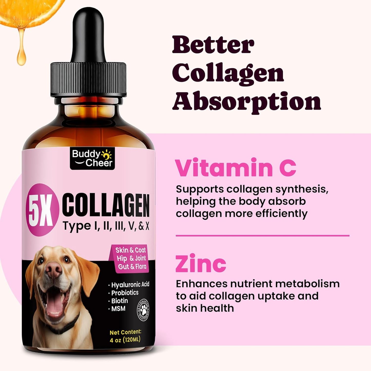 Premium Collagen for Dogs & Cats – 5 Types of Grass-Fed Collagen (I, II, III, V & X), Fast Allergy & Itch Relief Dog Colágeno with MSM, Biotin & Hyaluronic Acid – Supports Healthy Skin & Joints –120ml