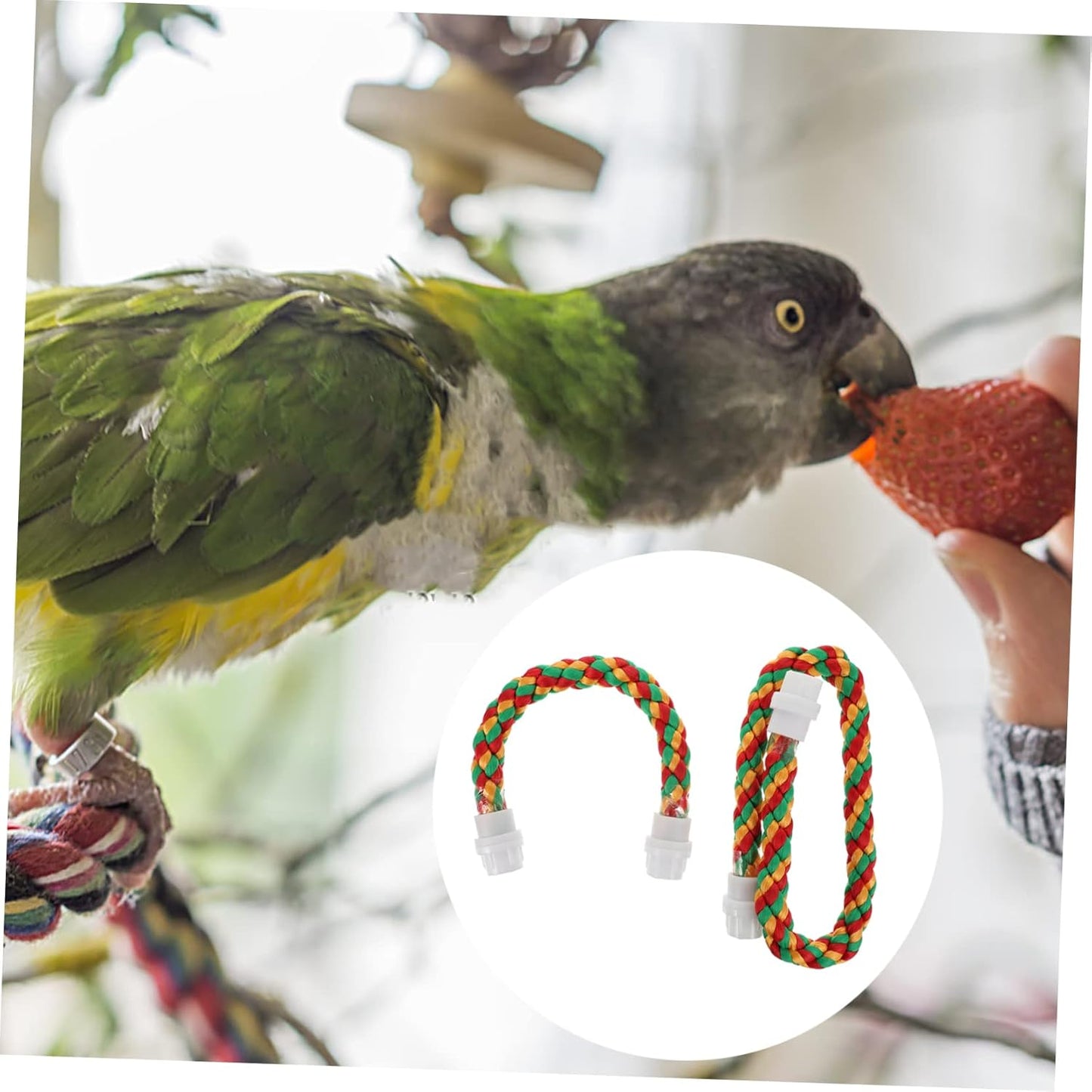 Happyyami 2pcs Rope Perch Set for Parrots Budgies and Macaws Multi-Purpose Chewing Toy Natural Material Lengths