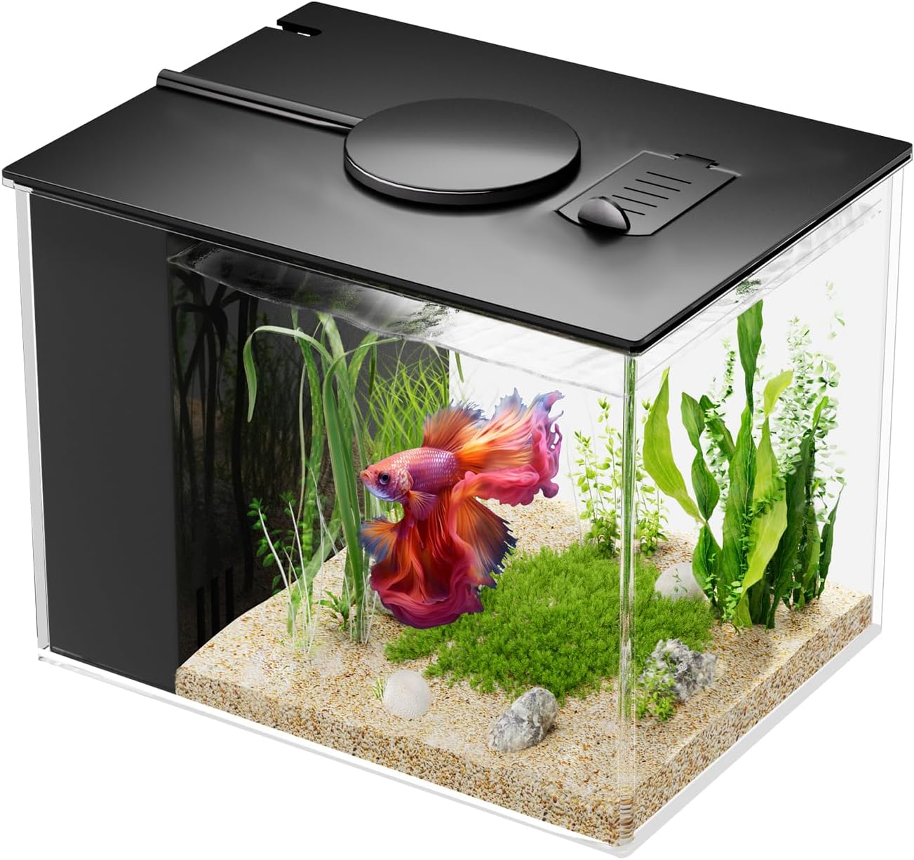 Betta Fish Aquarium 2.9L (0.78 Gal), Acrylic Small Fish Tank Kit with Water Filter Pump & LED Light, Ideal for Small Fish, Shrimp and Plants, Black