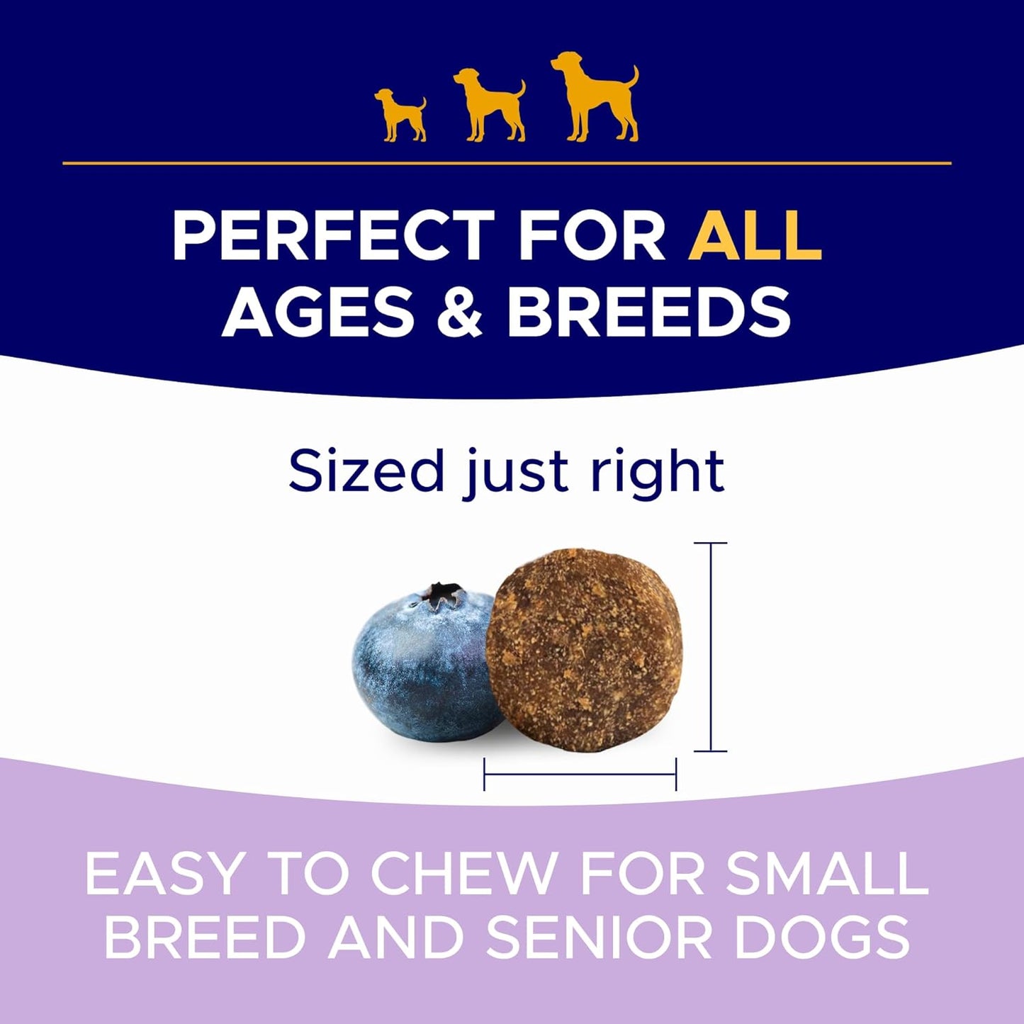 Probiotics for Dogs + Digestive Enzymes - Omega & Pumpkin - Gut Health & Immunity Support - Relieves Diarrhea, Gas, Constipation - Made in USA - 120 Ct (Pack of 1) BBQ Beef