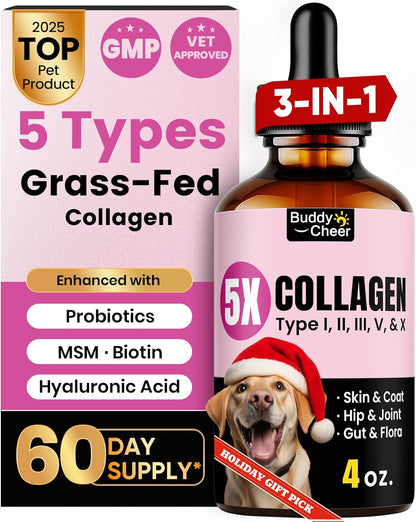 Premium Collagen for Dogs & Cats – 5 Types of Grass-Fed Collagen (I, II, III, V & X), Fast Allergy & Itch Relief Dog Colágeno with MSM, Biotin & Hyaluronic Acid – Supports Healthy Skin & Joints –120ml