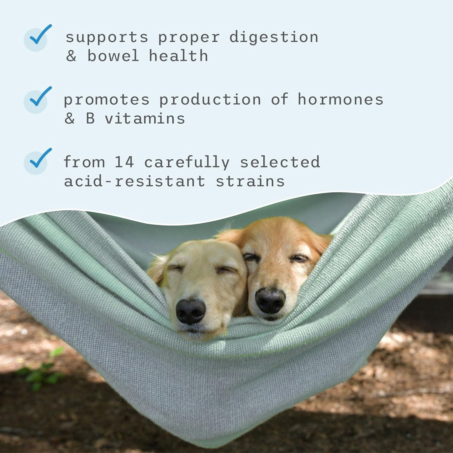 Bark & Whiskers Complete Probiotics, for Dogs and Cats, 3.17 oz (90 g), Supports Immune Function, Digestive Support, Veterinarian Formulated, Non GMO, Dr. Mercola