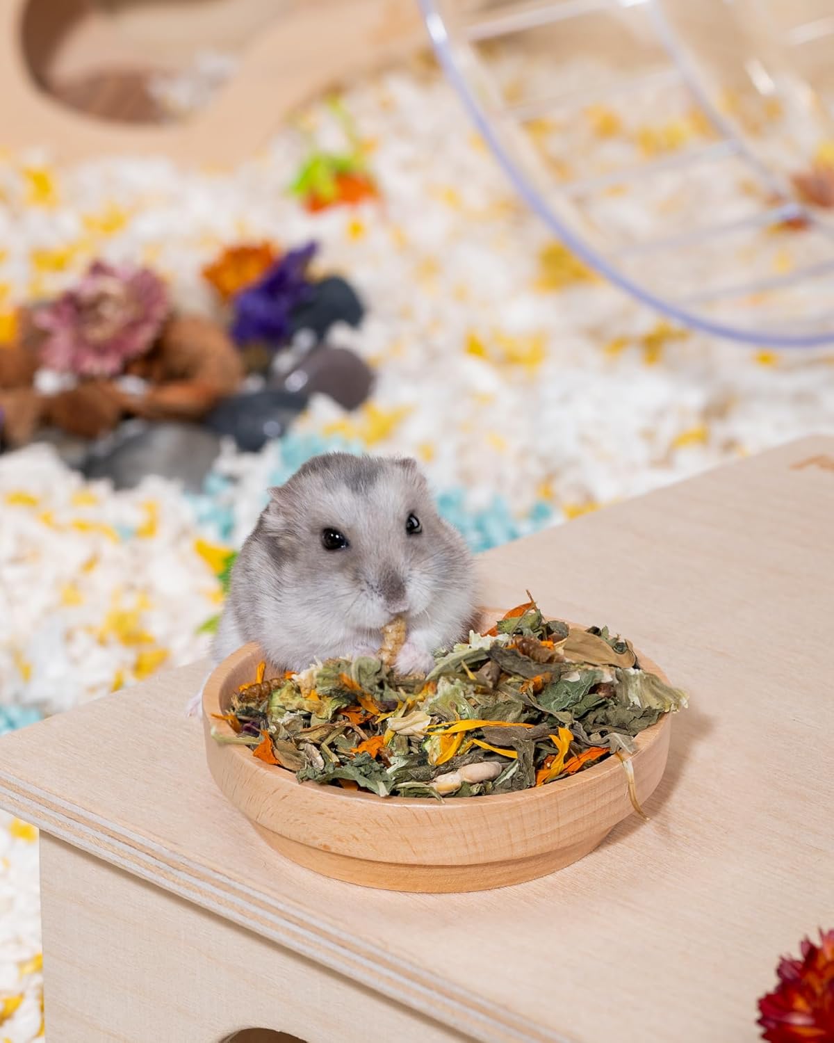 Niteangel Hamster Food & Treats Toy - Small Animal Natural Food for Syrian Golden Dwarf Robo Hamsters or Other Small-Sized Pets