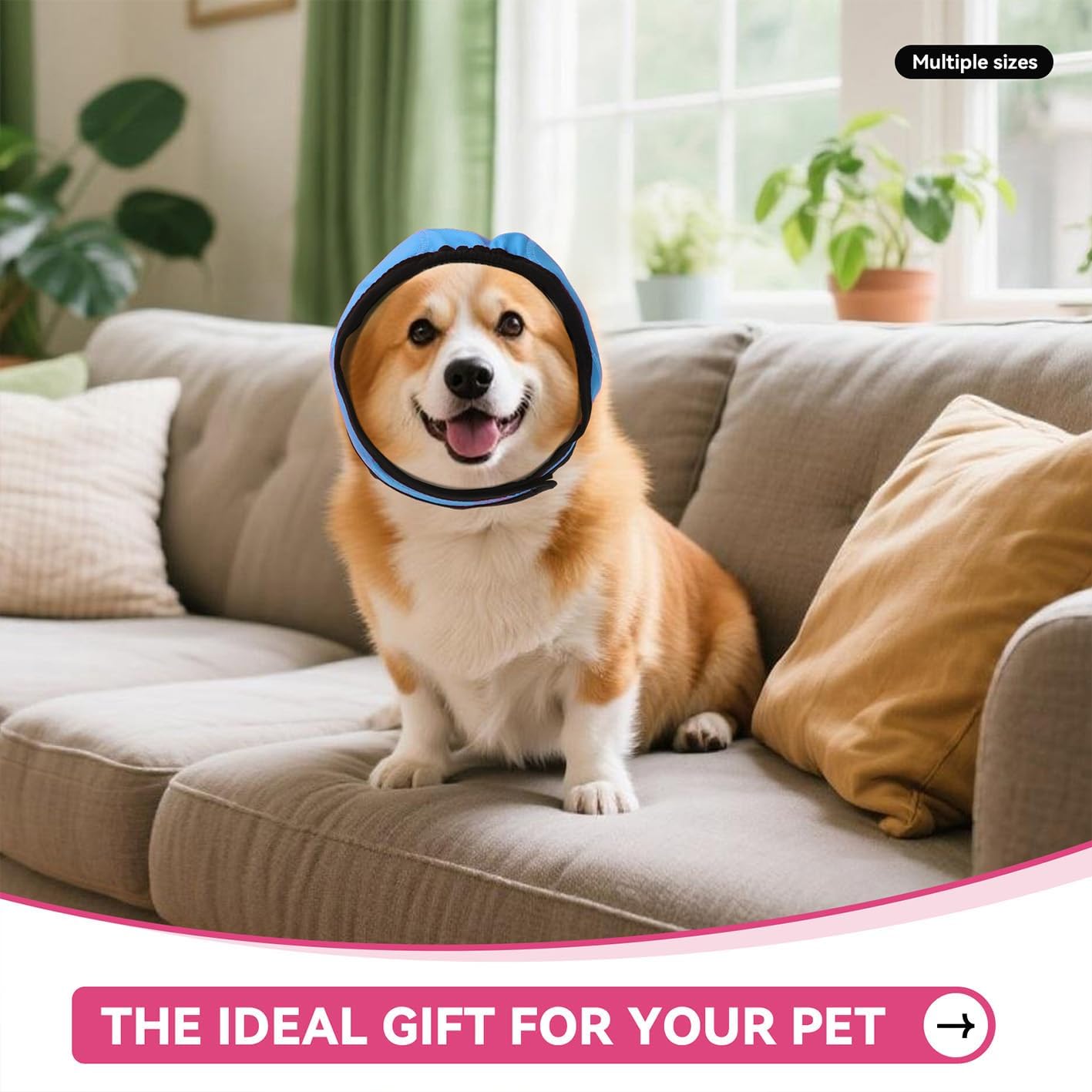 Quiet Dog Ear Muffs,Anxiety Relief/Noise Protection-Grooming-Thunder-Fireworks,Hematoma Ear Wrap,Adjustable Quiet Head Cover Sleeves Ear Covers for Bath (Blue, Medium)