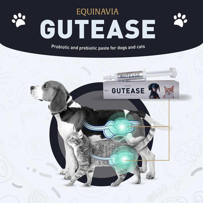 Equinavia GutEase Digestive Support Paste for Dogs & Cats – with Probiotics, Prebiotics, Glutamine, and Pectin – Easy Oral Supplement in 15ml or 30ml Syringe - 1 oz (30 ml) - 1 oz