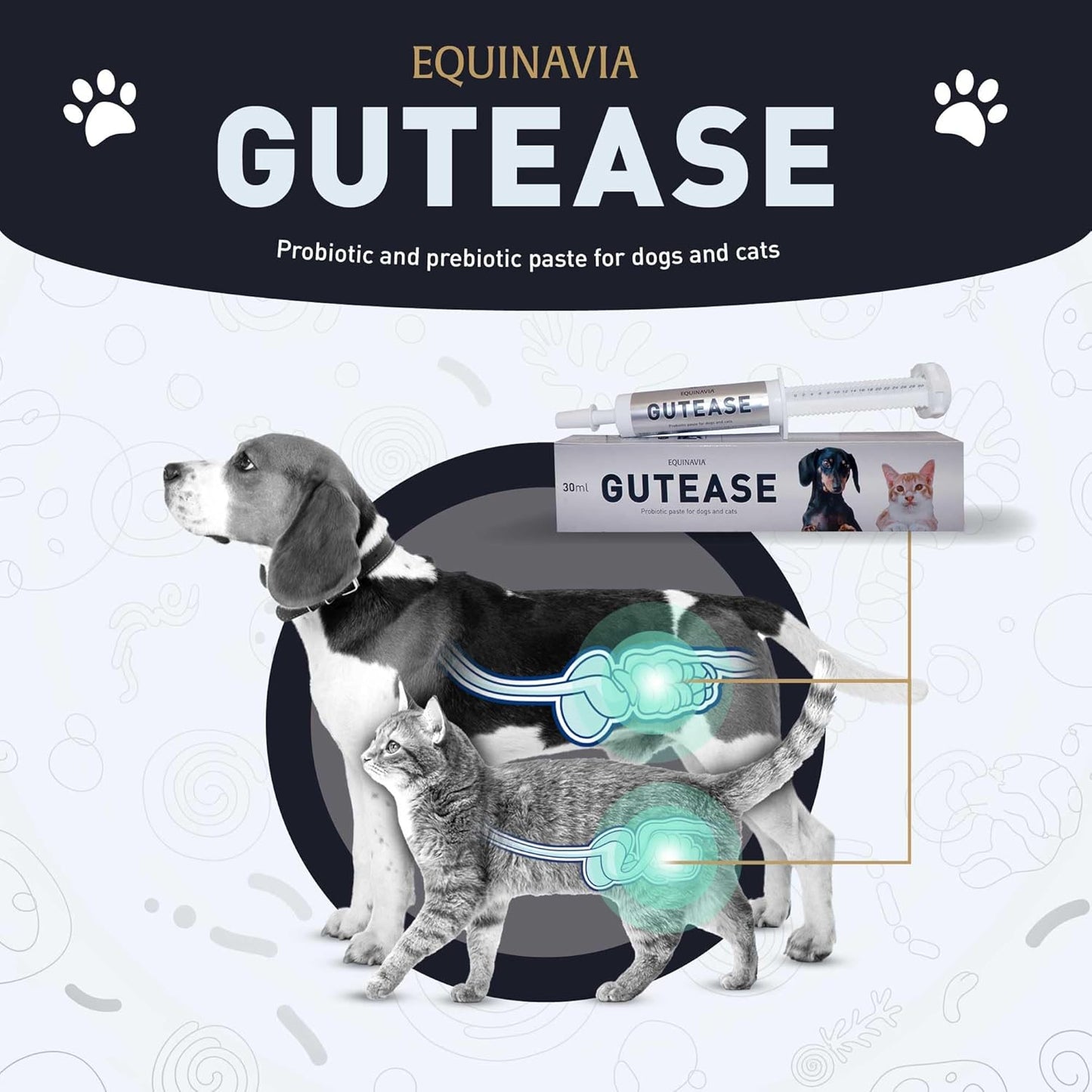 Equinavia GutEase Digestive Support Paste for Dogs & Cats – with Probiotics, Prebiotics, Glutamine, and Pectin – Easy Oral Supplement in 15ml or 30ml Syringe - 1 oz (30 ml) - 1 oz
