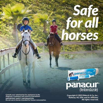 (3 Pack) PANACUR Dewormer Horse Paste 10%, 100mg Each