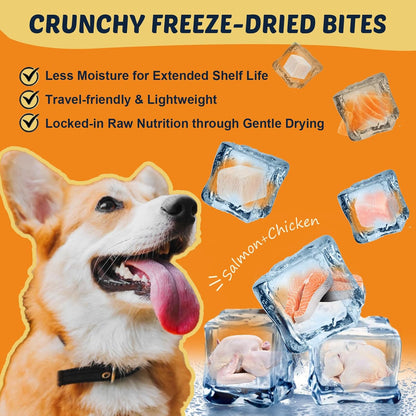 Omega 3 Fish Oil for Dogs, Salmon Oil for Dogs with EPA & DHA for Skin & Coat Health, Itch & Allergy Relief, Dog Shedding, Hot Spots Treatment, Joint Support, with Astaxanthin & Vitamin E