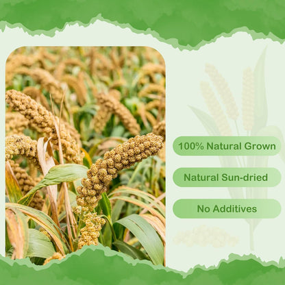 ERKOON 5LB Spray Millet Treat, All Natural Sun-Dried Healthy Treat Parrot Food Bird Snack for Parakeets, Lovebirds, Cockatiels, Finches, Budgies, Canaries Hamster, Bird Food Bulk