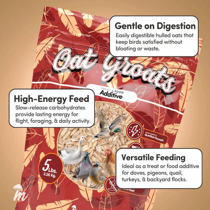 Mycelium Organic Oat Groats for Birds (5 LB Bag) | Clean, Non-GMO Grain Treat or Food Additive | Debris & Dust-Free Advanced Sifting | Ideal for Small Pet & Ground-Feeding Wildlife Birds | Made in USA