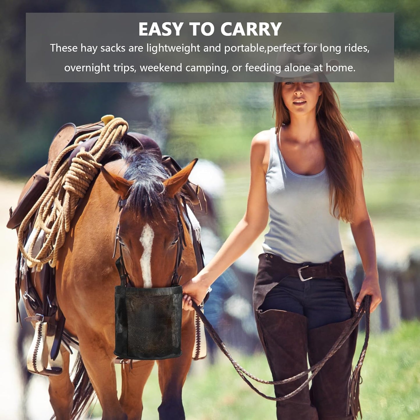 2 Pcs Horse Feed Bag Comfort Breathable Mesh Feed Bucket Heavy Duty Feed Bag with Adjustable Strap and Waterproof Bottom for Horse Feeding Supplies Muzzle Feed Bag, Medium (Black)