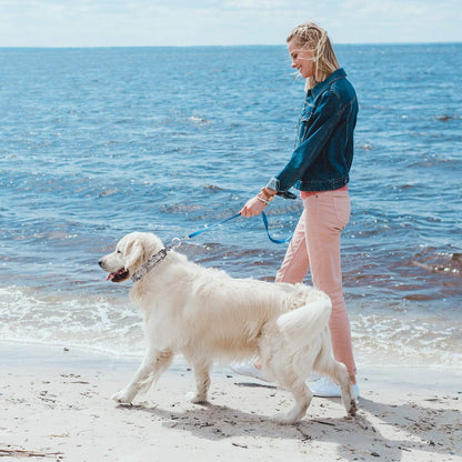 Prong Collars for Dogs, No Pull Dog Collar, Dog Training Collar for Large Medium Small Dogs, Stainless Steel Adjustable with Comfort Rubber Tips (Large, 4.0mm, 23.6-Inch)