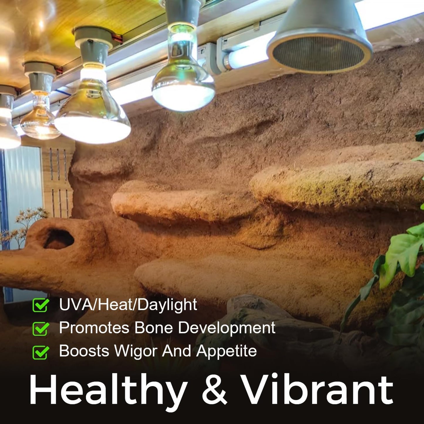 Reptile Heat Lamp 100W, 2 Pack Intense UVA Basking Light Bulbs, Flat-Base Heat Emitter, Heat Lamp Bulb for Reptile Chick