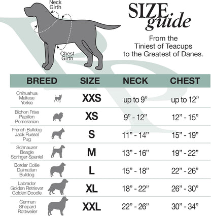 Cooper II Organic Cotton Velour Dog Hoodie Pet Coat for Small, Medium and Large Dogs, Sage, Medium (20-45 lbs)