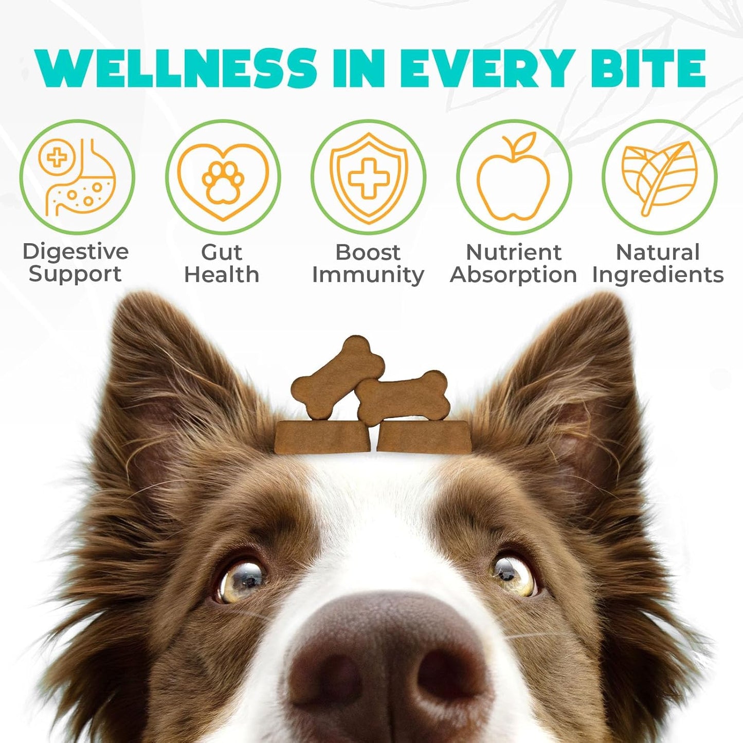 Probiotics for Dogs Chews 150 pcs - Probiotic Chews for Dogs with Enzymes & Natural Ingredients - Digestive & Gut Health Support - US Formula - Duck Flavored