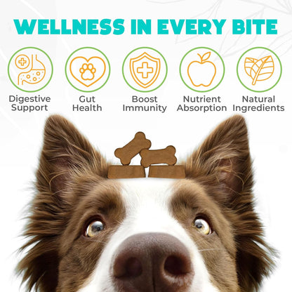 Probiotics for Dogs Chews 150 pcs - Probiotic Chews for Dogs with Enzymes & Natural Ingredients - Digestive & Gut Health Support - US Formula - Duck Flavored