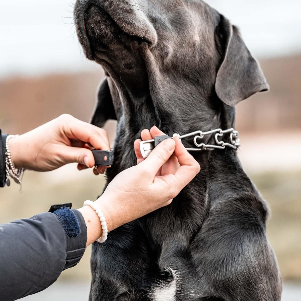 Herm Sprenger ClicLock Fastener Stainless Steel Buckle for Prong Dog Training Collar & Quick Release with Easy Buckle for Medium Large Dogs (3.0/3.2mm)