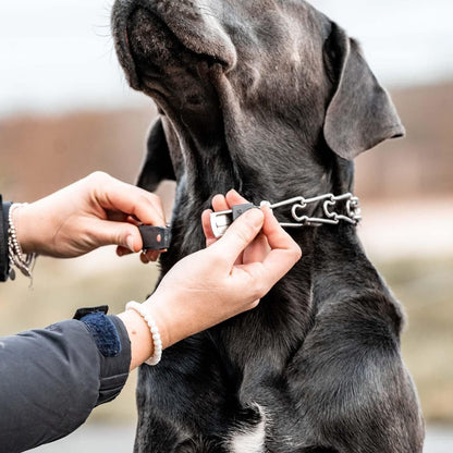 Herm Sprenger ClicLock Fastener Stainless Steel Buckle for Prong Dog Training Collar & Quick Release with Easy Buckle for Medium Large Dogs (3.0/3.2mm)