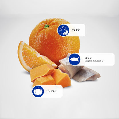 Farmina, N&D Ocean Herring, Pumpkin & Orange Adult Dry Cat Food, 52.8 Ounce