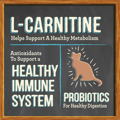 Merrick Purrfect Bistro Grain Free Natural Dry Cat Food for Adult Cats, Complete Care Hairball Control Recipe - 4 lb. Bag