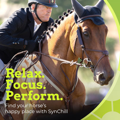 SynChill Oral Horse Calming Gel, 100% Natural & Nutritional Supplement, Lab Proven Results, Designed for Focus & Performance, Approved by Olympic Professionals & Veterinarians, Made in USA - 2 Pack