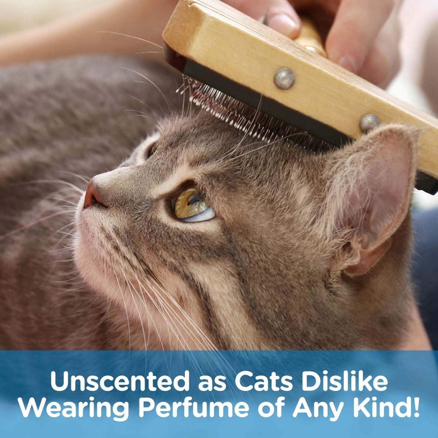 Pet MasterMind Fab Fur Kitty Cat Detangler Spray for Matted Hair | Premium, Natural, Unscented 8oz