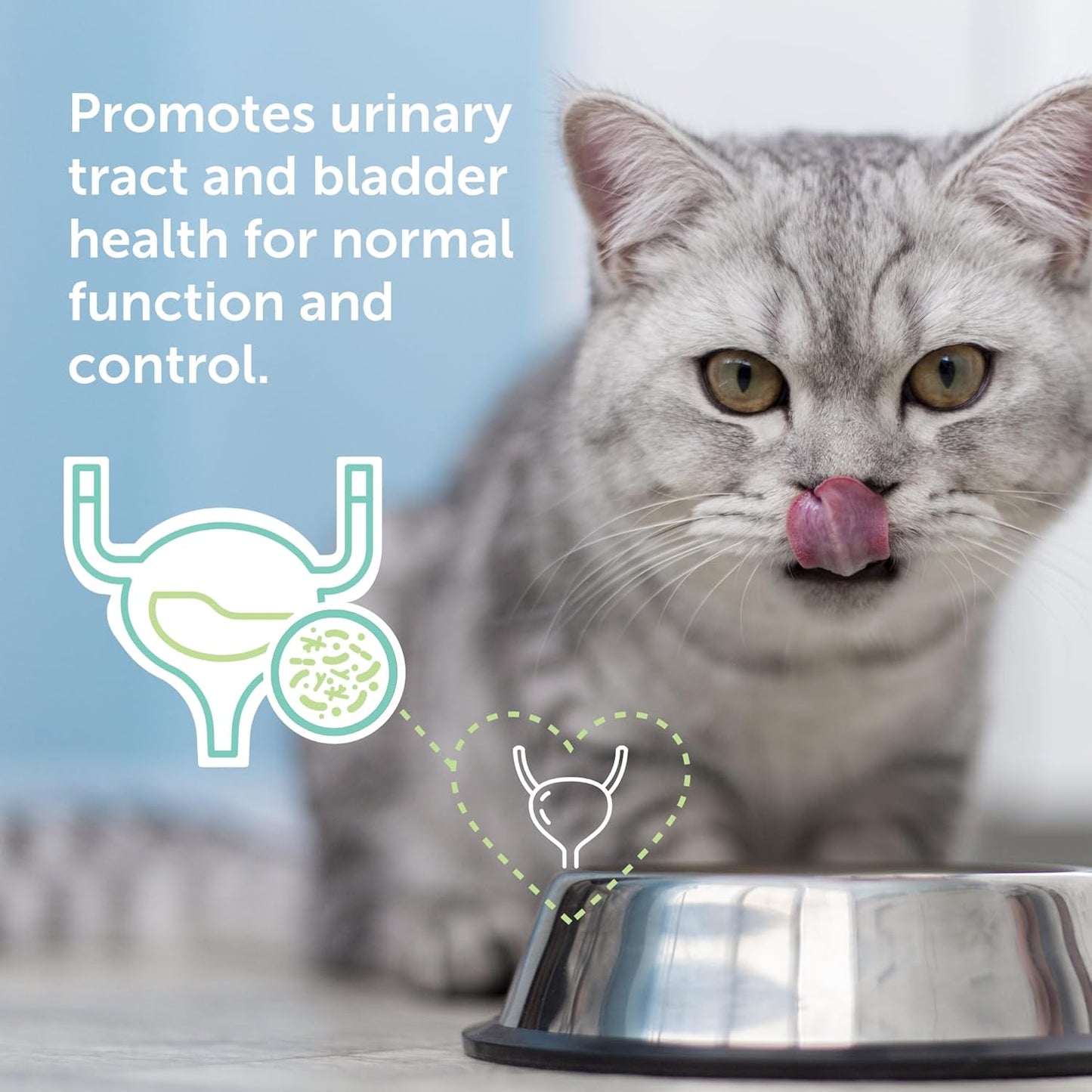 Flo Cat Cranberry Supplement for Cats by Veterinarian Recommended Solutions - Bladder Control for Cats - Urinary Tract Support - Cranberry Chews - Immune & Gut Support