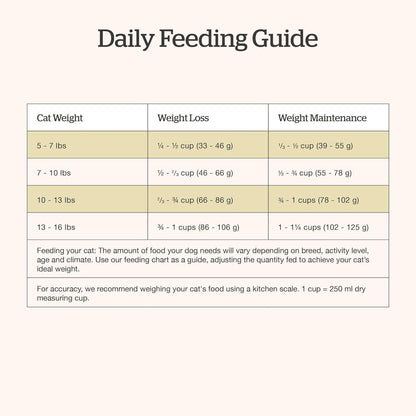 Now Fresh Good Gravy Grain-Free Dry Cat Food with Chicken, Healthy Kibble for Adults & Seniors Coated in Bone Broth – Just Add Water to Moisten, with Pumpkin for Sensitive Stomachs, 3 lb Bag