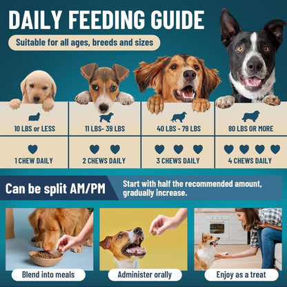 Dog Probiotics for Dogs, 200 Soft Probiotics Chews for Dogs Digestive Health Gut Health & Immune System, with 6 Probiotics & Digestive Enzymes, Support Itchy Skin, Constipation & Diarrhea Relief