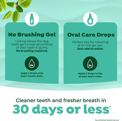 TropiClean Fresh Breath No Brush Total Care Kit | Dog Dental Hygiene| Dog Teeth Cleaning Made Easy | Water Additive No Brushing Toothpaste for Dogs