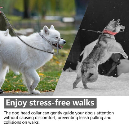 Gentle Dog Head Collar with Soft Nylon, Breathable Head Halter for Small Medium Large Dogs, Prevent Pulling Barking(S,Black)