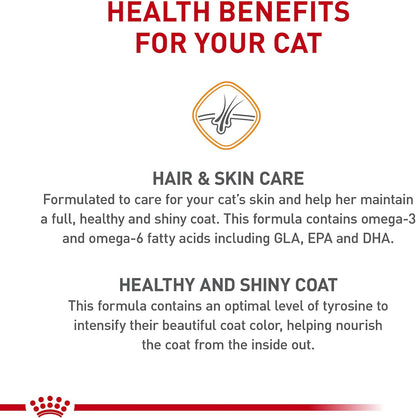 Royal Canin Feline Care Nutrition Hair & Skin Care Adult Dry Cat Food, 3 lb Bag