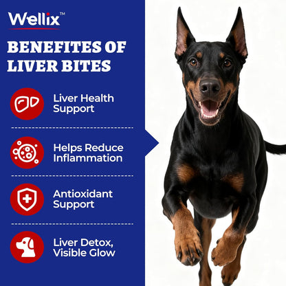 260 Bites Wellix Liver Support for Dogs - Milk Thistle for Dog Liver Supplements with Omega-3 - Supports Heart & Antioxidant for Large,Small Breed Fogs -Chicken Flavor