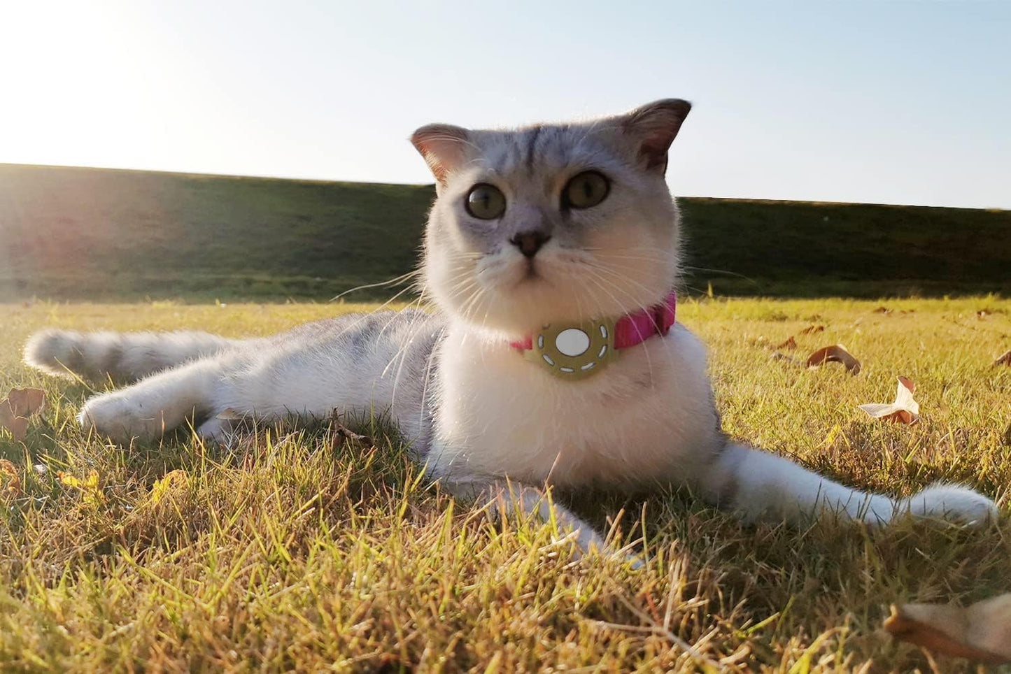 Cat Collar Holder for Airtag, Cat & Small Dog Harness Case for Air Tag