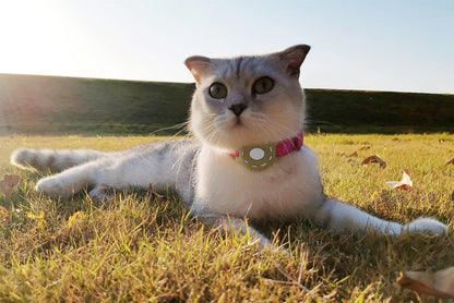 Cat Collar Holder for Airtag, Cat & Small Dog Harness Case for Air Tag