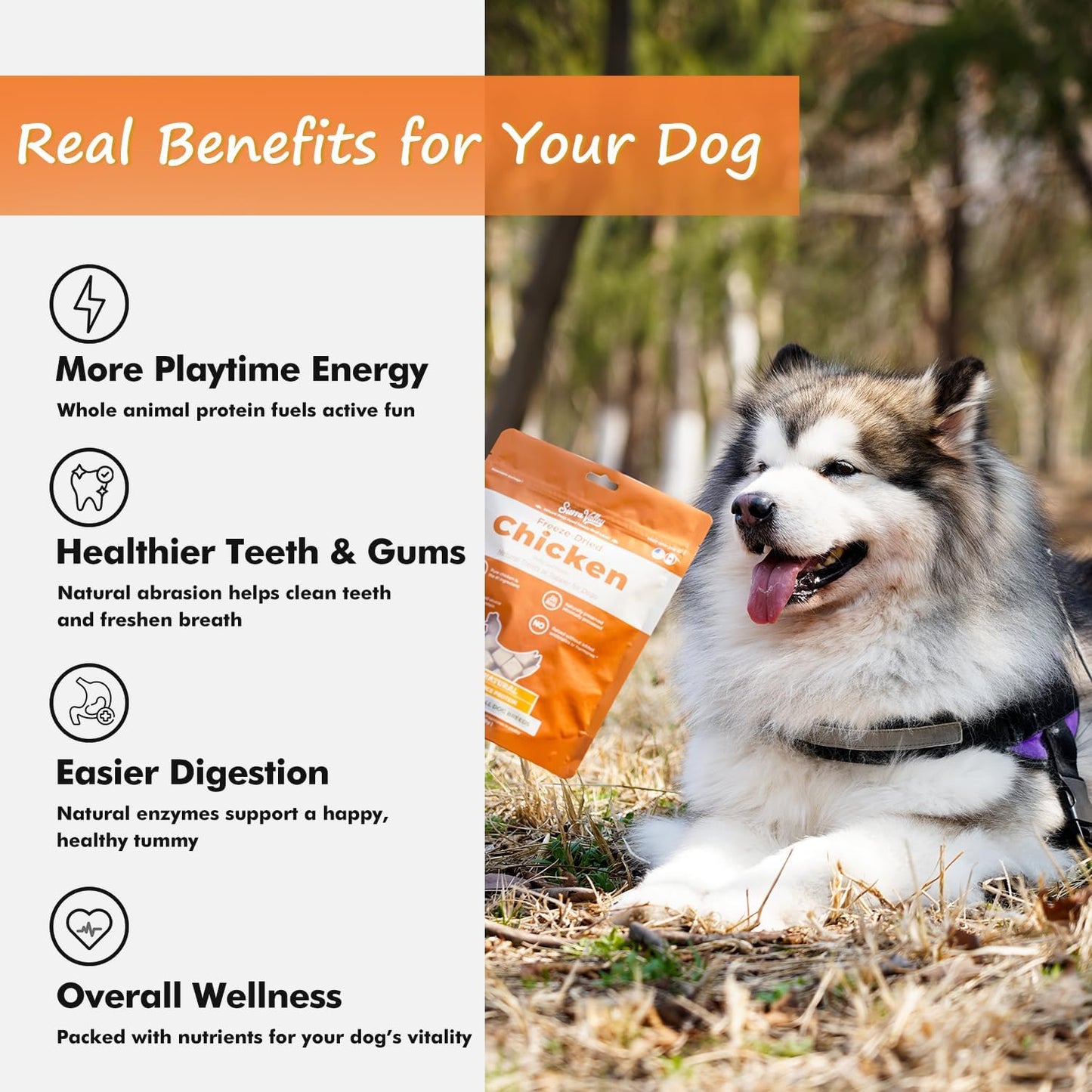 Freeze Dried Dog Treats Chicken Breast, 100% Pure Single-Ingredient Grain-Free, 2cm Tender Cubes for Medium Dogs, Hypoallergenic Low-Fat Snacks, Resealable Bag 6oz