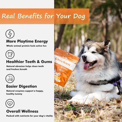Freeze Dried Dog Treats Chicken Breast, 100% Pure Single-Ingredient Grain-Free, 2cm Tender Cubes for Medium Dogs, Hypoallergenic Low-Fat Snacks, Resealable Bag 6oz