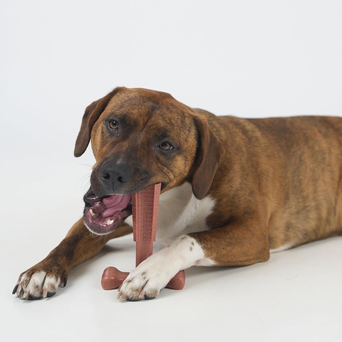 SPOT Bam-Bones Plus T Bone – Bamboo Fiber & Nylon Dog Chew Toy for Moderate to Aggressive Chewers, Durable Long Lasting & Non-Splintering, Beef Flavor Toy for Adult Dogs & Puppies Under 60 lbs, 6 in