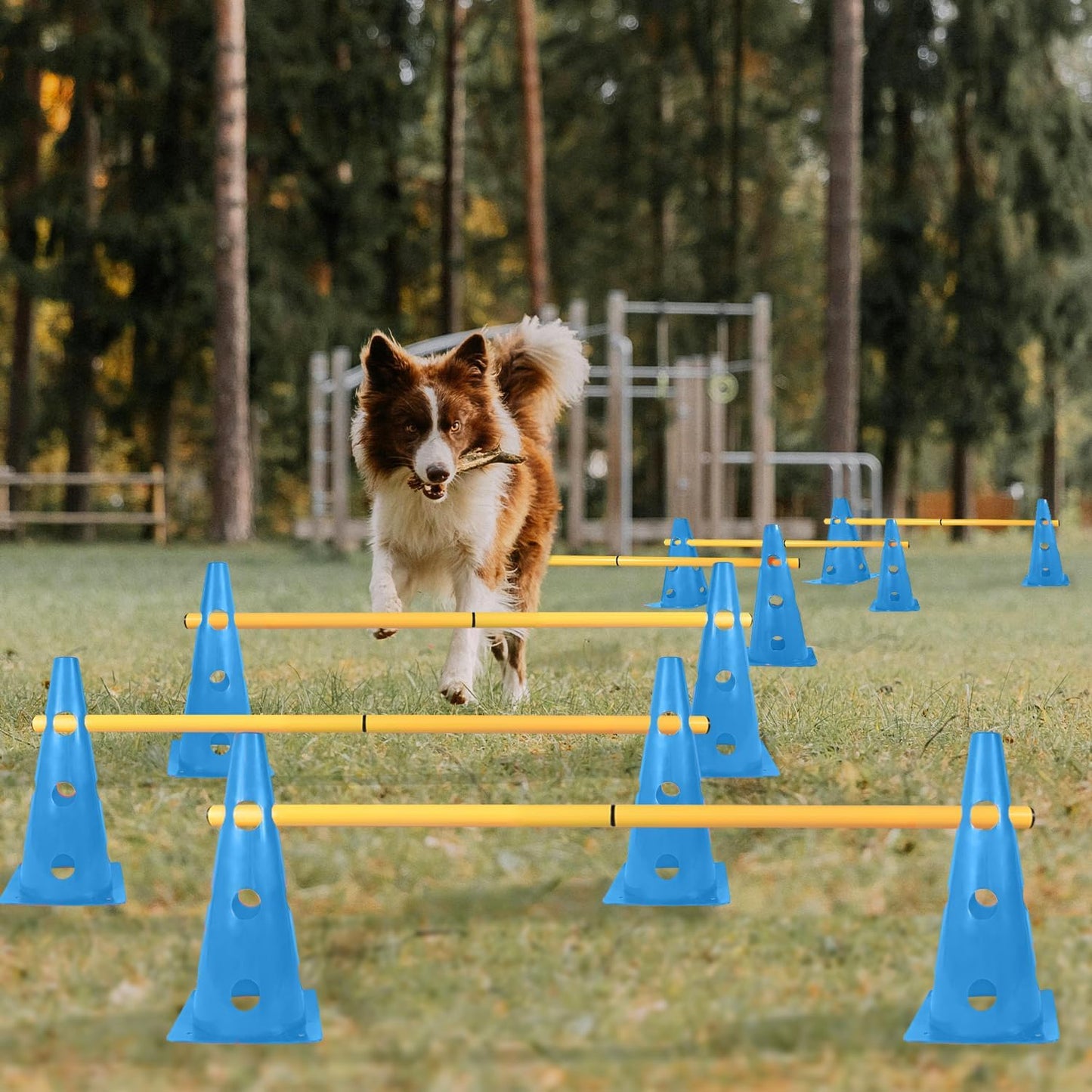 TNZMART Dog Agility Hurdle Cones Pet Jump Training Set Dog Agility Course Backyard Set Adjustable Obstacle Training Set (Blue, 6 Sets)