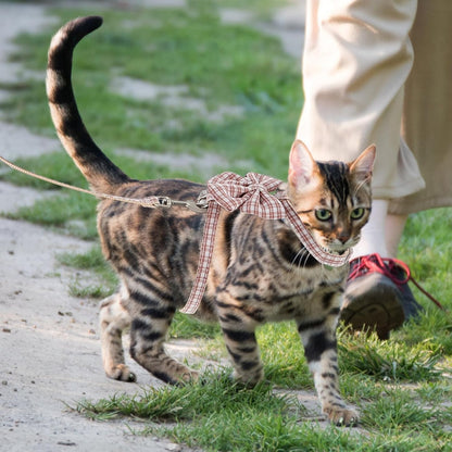 ERINGOGO Adjustable Cat Harness and Leash Set, Anti-Escape Pet Traction Strap with H-Style Vest, Small Size 1.0M Pink for 3-7 Lb Cats Outdoor Walking